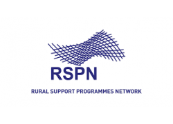 20-RSPN.png