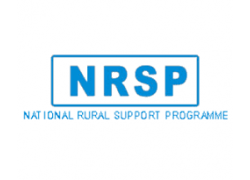 21-NRSP.png