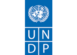24-UNDP.png