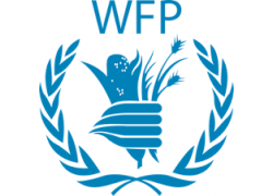 44-WEP.png