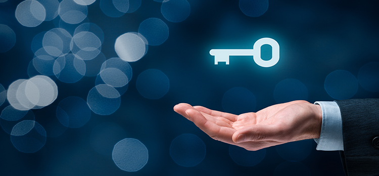 APEX Consulting Basic Facts